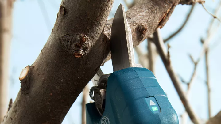 أداة Pro Pruner‏