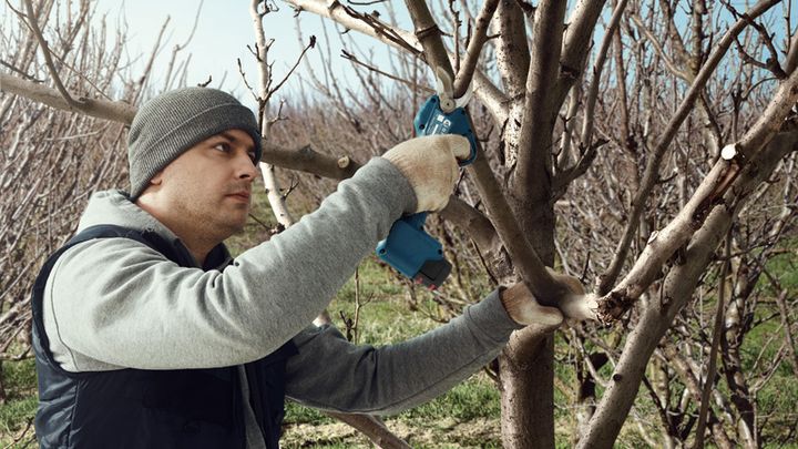 أداة Pro Pruner‏