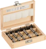 Bosch 5-piece tungsten carbide hinge cutting bit set.