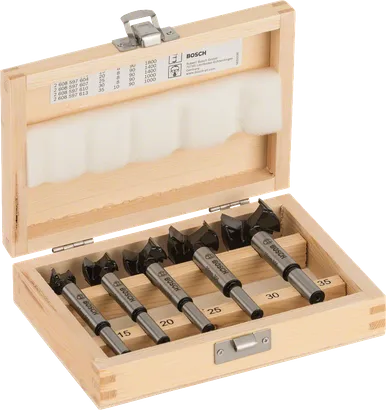 Bosch 5-piece tungsten carbide hinge cutting bit set.