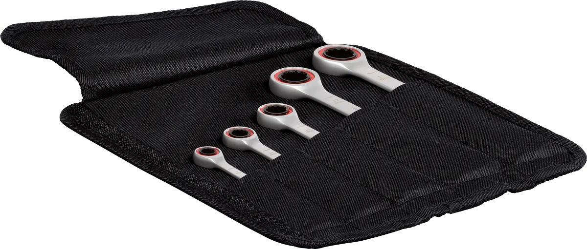 Set de clés mixtes à cliquet Professional, 5 pièces