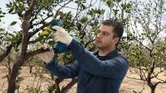 Persona que usa equipo de seguridad corta ramas de árboles con una tijera de podar inalámbrica.
