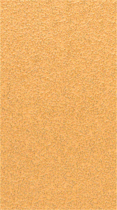 Bosch C470 Schleifblatt Körnung 40 ohne Löcher.