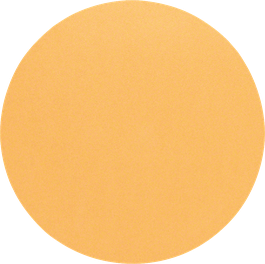 Bosch C470 Schleifblatt 225 mm, Körnung 120, ohne Löcher.