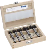 Bosch EXPERT Laminated Wood Scharnier Cutting Drill Bit Set 5 pcs.