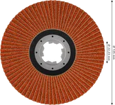 Bosch EXPERT X782 Fächerscheibe 125 mm G80 X-LOCK.