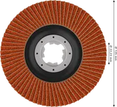 Bosch EXPERT X782 Fächerscheibe 125 mm G80 mit X-Lock.