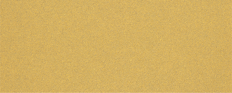 Feuille de papier abrasif Bosch EXPERT C470 G 60 sans trous.