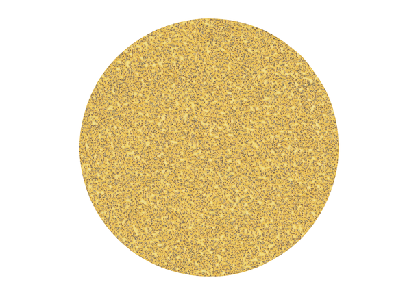 Disque abrasif Bosch Expert C470 G40 225 mm sans trous.