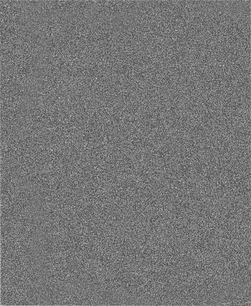 Rouleau de ponçage Bosch PRO C355 G80, 230x280 mm.