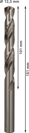 Foret hélicoïdal Bosch PRO Metal HSS-G 12,3 mm.
