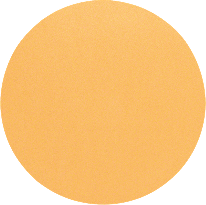 Bosch C470 schuurblad 225mm korrel 120 zonder gaten.