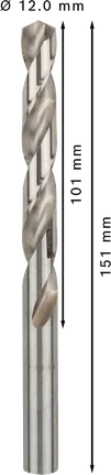 Bosch PRO Metal HSS-G 12mm spiraalboor, lengte 151mm.