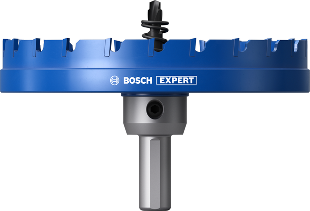 Bosch EXPERT Plaatmetaalgatzaag 120 x 5 mm.