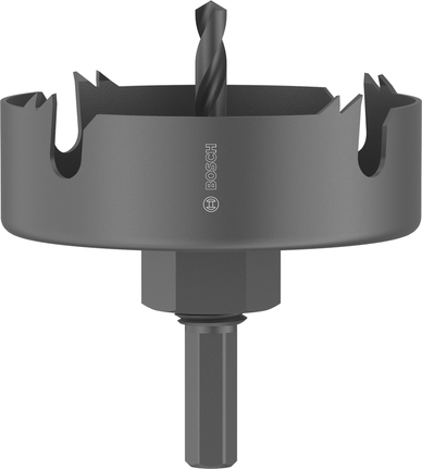 Bosch gatenzaag voor hout en gipsplaat, 80 x 25 mm.