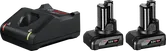 Стартов комплект Bosch 12V със зарядно устройство и две батерии.