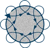 Orbit diameter.