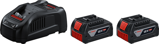 2 batteries GBA 18V 5.0Ah + GAL 1880 CV