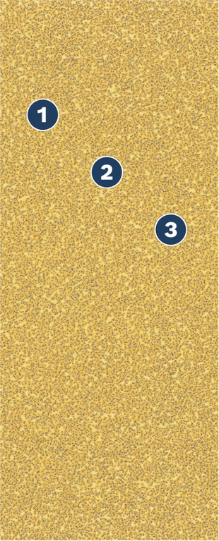 Bosch lihvpaber nummerdatud teralisuse tähisega.