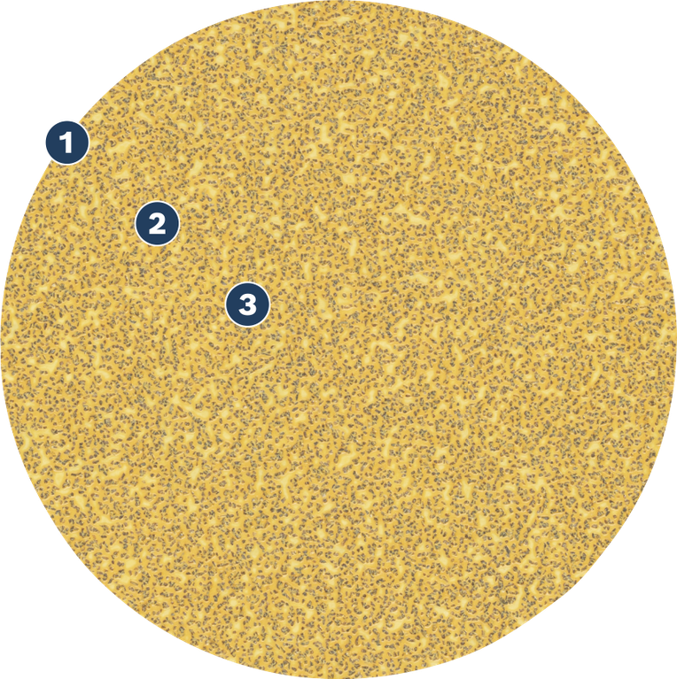 Bosch Spider Wood võnkuva teraga lihvketas.