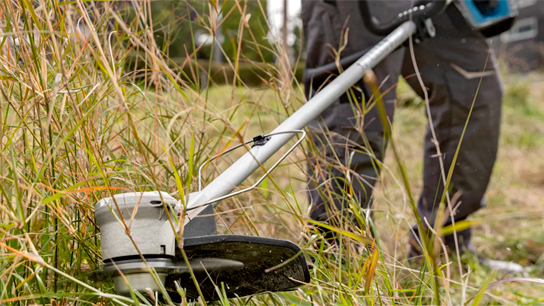 Aparador de grama e roçadeira: saiba como escolher a ferramenta ideal