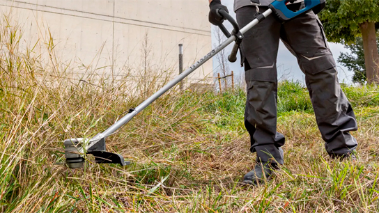 Dúvidas sobre como escolher o aparador de grama e a roçadeira ideais? Aprenda com a Bosch!