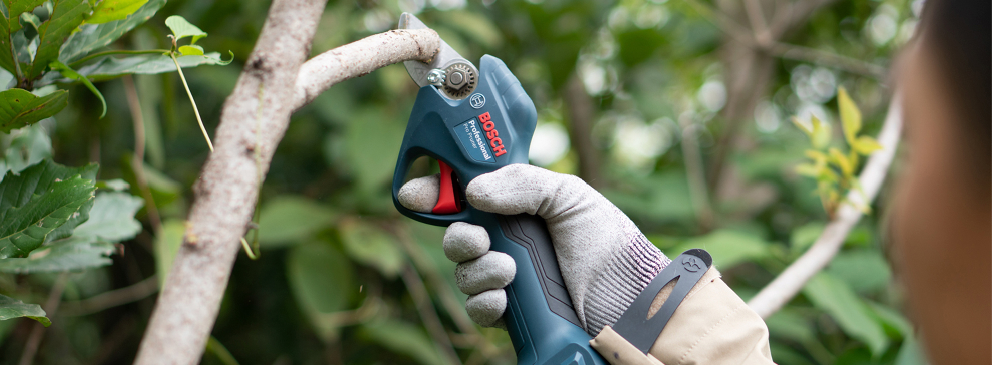 Uma pessoa usa uma tesoura de poda azul da Bosch Professional em um galho.