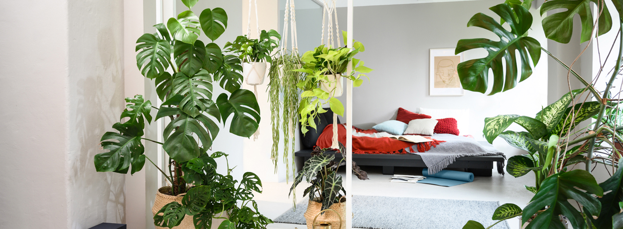 Um quarto aconchegante com uma cama, plantas verdes e um espelho refletindo o espaço.