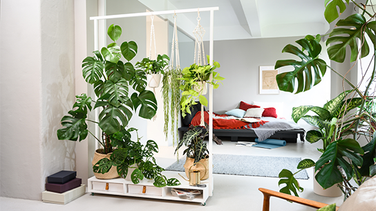 Um suporte de plantas de interior elegante com plantas verdes exuberantes em um ambiente iluminado.