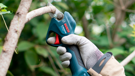 Um podador profissional da Bosch segurado em uma mão com luva, cortando um galho.