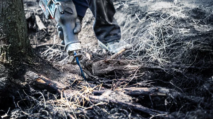 Um trabalhador usando equipamento de segurança usa uma serra alternativa para cortar raízes de árvores.
