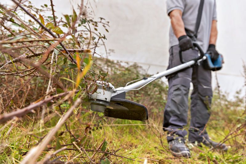 Uma pessoa usando equipamento de segurança apara grama alta e arbustos com um cortador de grama sem fio.