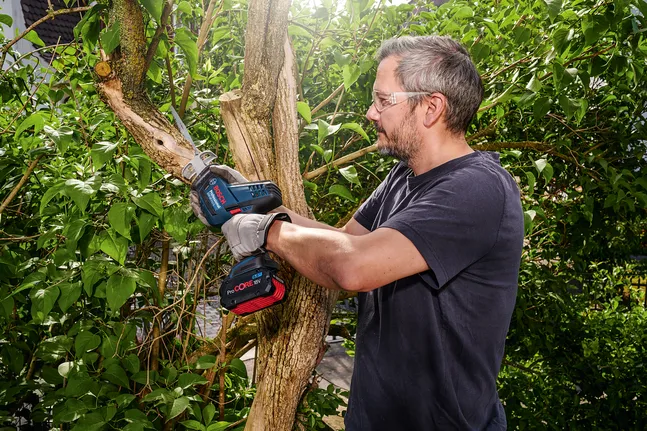 Una persona, equipada con material de seguridad, poda la rama de un árbol con una sierra inalámbrica.