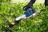 Una persona que usa equipo de seguridad corta la rama de un árbol caído con una motosierra inalámbrica.