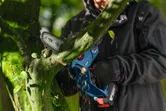 Una persona que usa equipo de seguridad corta la rama de un árbol con una podadora inalámbrica.