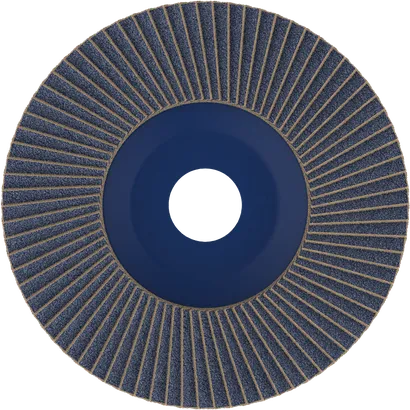 Bosch PRO X571 Fächerscheibe G40 gerade 125 mm.