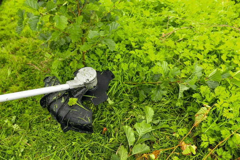 Freischneider mit 4-Zahn-Klinge zum Schneiden von dickem Gras und kleinen Ästen im Freien.