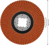 Bosch EXPERT X782 Fächerscheibe 115 mm G120 X-Lock.