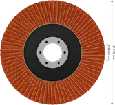 Bosch EXPERT X782 Schrägscheiben-Schleifscheibe 125 mm G120.