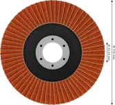 Bosch EXPERT X782 Fächerscheibe 115 mm G60 abgewinkelt.