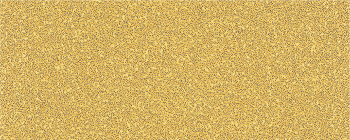 Feuille de papier abrasif Bosch EXPERT C470 grain 40 sans trous.