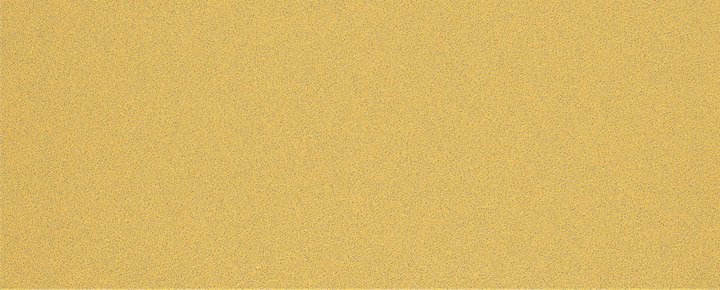 Papier abrasif Bosch EXPERT C470 G80 sans trous pour ponceuses orbitales.