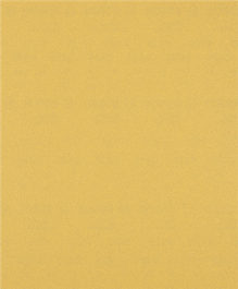 Feuille de papier de verre Bosch EXPERT C470 grain 120 sans trous.
