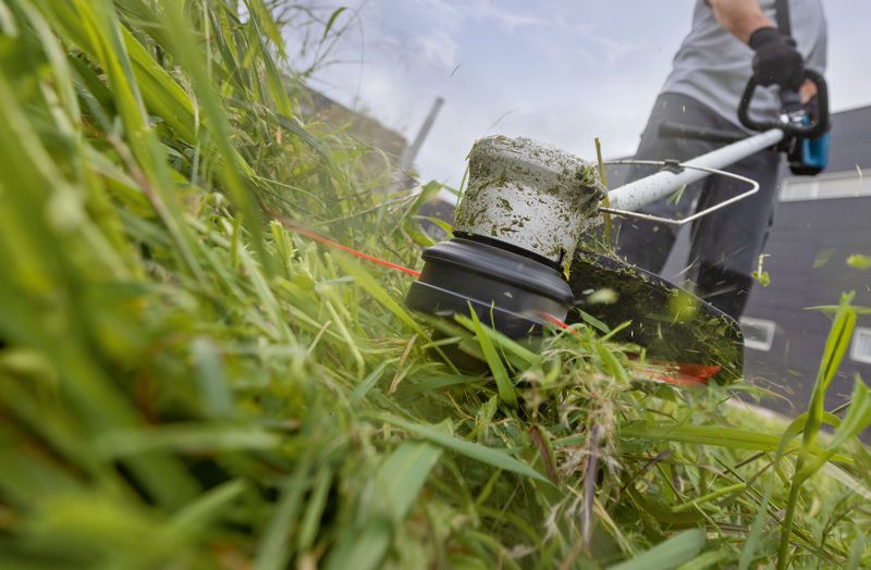 Une personne portant un équipement de sécurité coupe l’herbe envahissante avec un coupe-herbe sans fil.