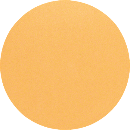 Foglio abrasivo Bosch C470 225 mm grana 120 senza fori.