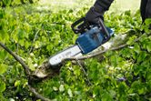 Una persona che indossa dispositivi di sicurezza taglia un ramo caduto con una motosega a batteria.