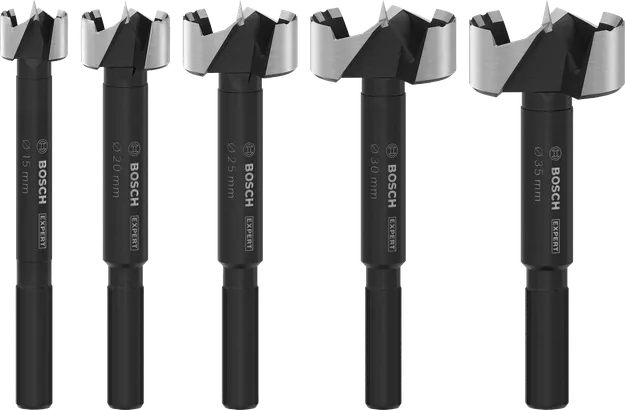 Set di punte Forstner per legno Bosch EXPERT, 5 misure.