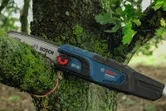 Sega a batteria con asta telescopica per tagliare un ramo d'albero ricoperto di muschio all'aperto.
