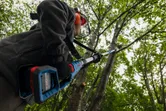Una persona che indossa dispositivi di sicurezza pota i rami di un albero con un utensile elettrico estensibile.