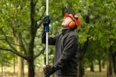Una persona, munita di dispositivi di protezione individuale, pota i rami di un albero utilizzando una sega telescopica a batteria.